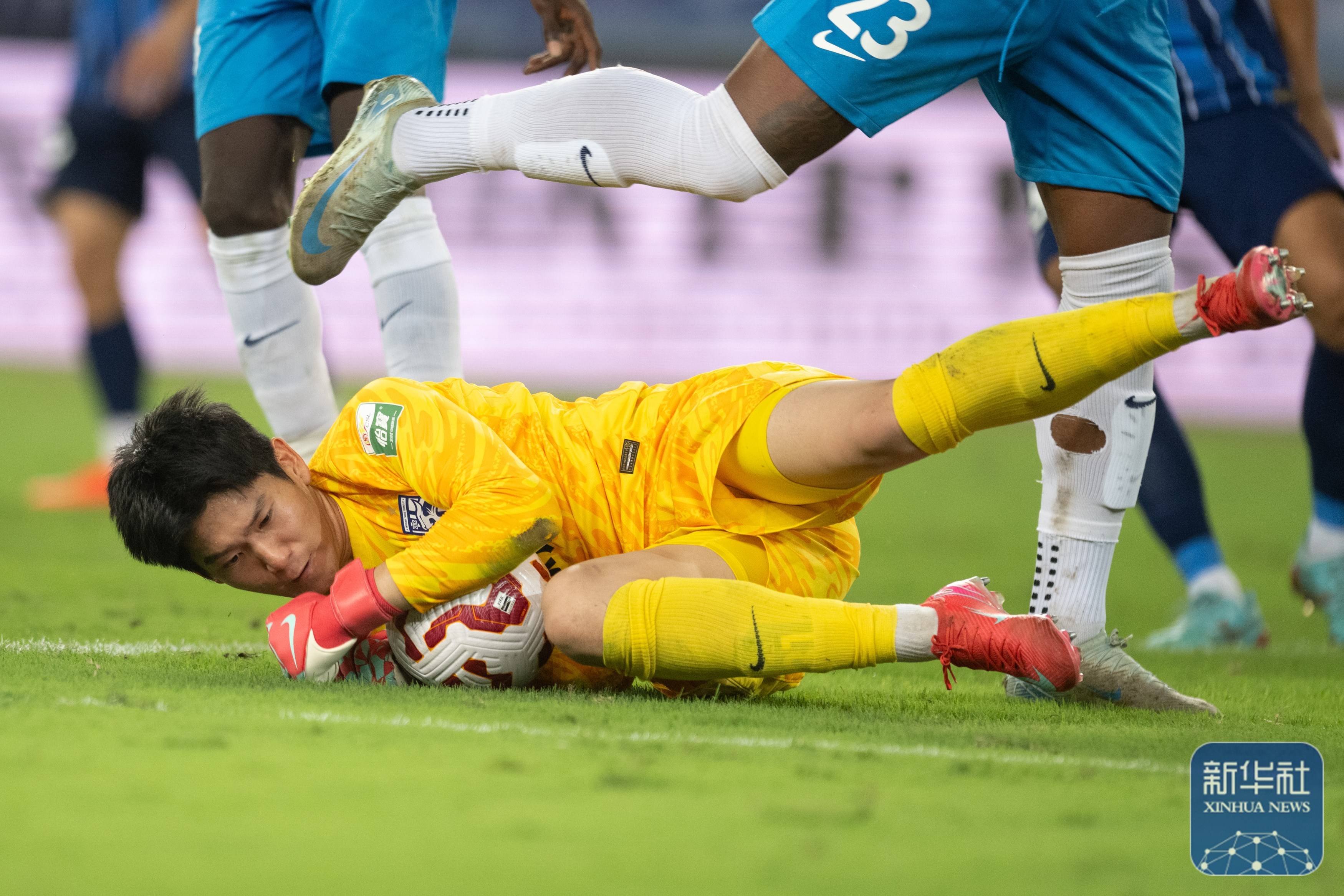 护不仅可能 护不仅可能