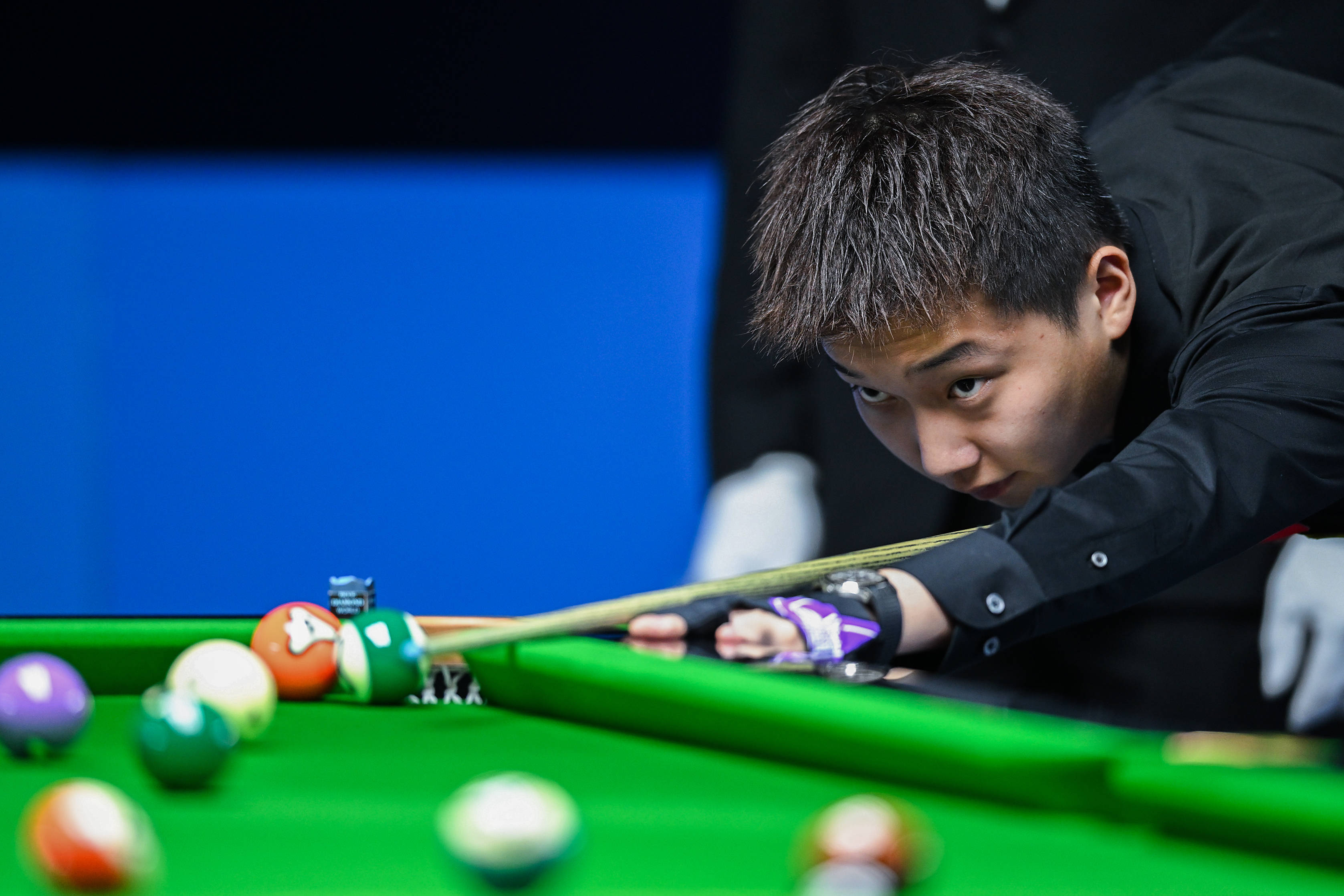 归化政策本 归化政策本