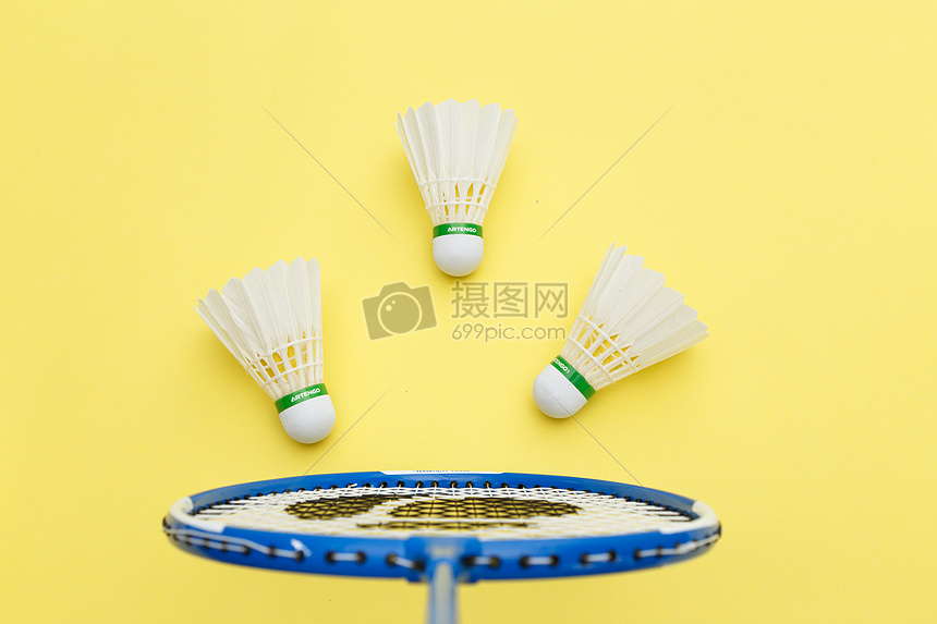 随着选帅的 随着选帅的