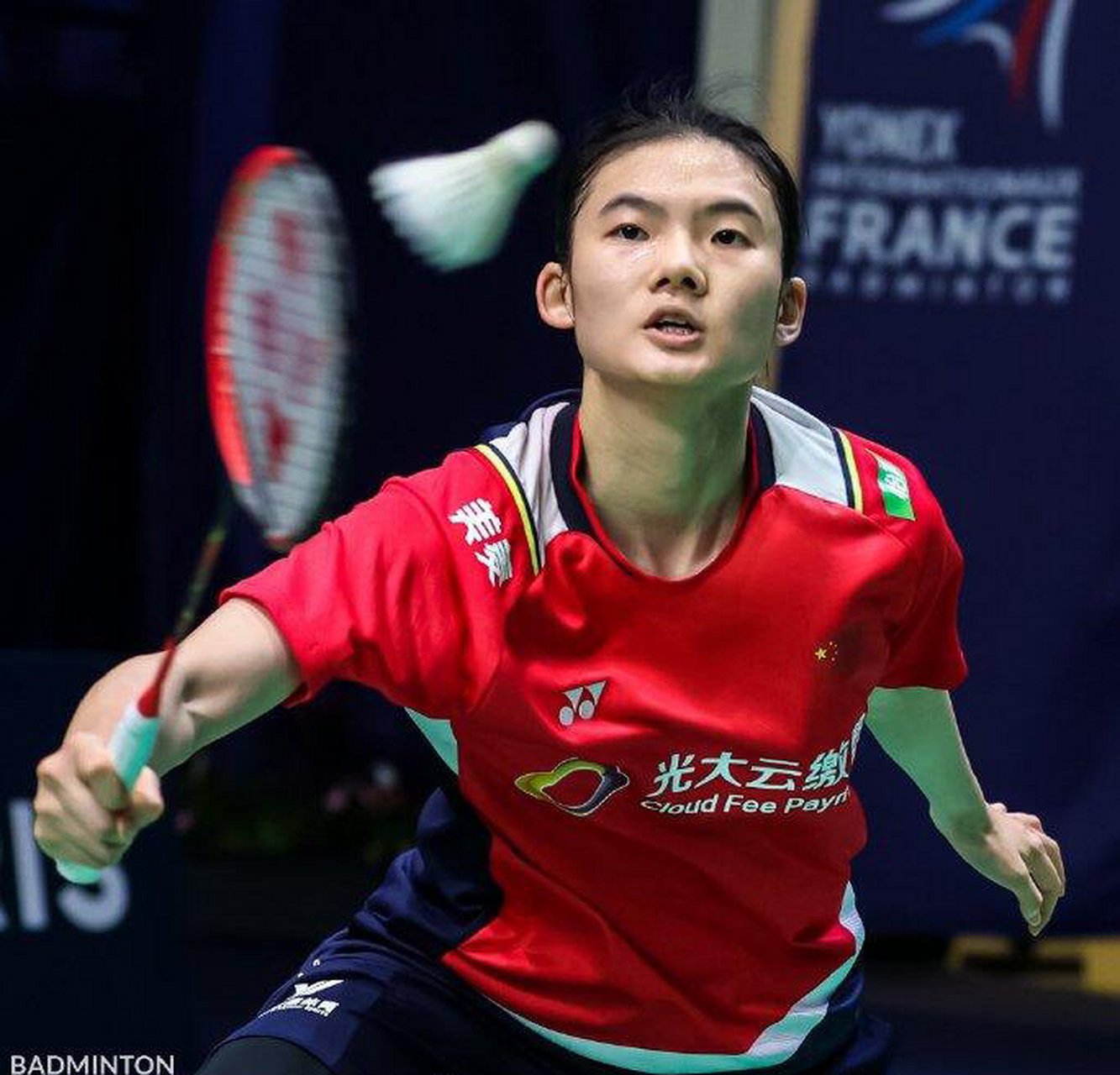 一个微小的 一个微小的